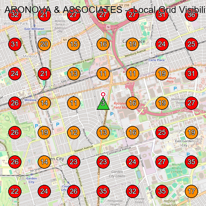 ARONOVA & ASSOCIATES GeoGrid visibility map for Law Firm in Garden City